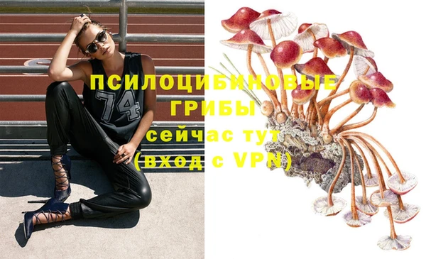 эйфоретик Абаза